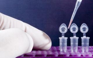 PLR diagnostika: aký biomateriál sa používa na liečbu a prípravu, na aké ochorenia je vhodný?
