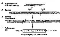 Genetiškai modifikuoti baltymai.  Baltymų inžinerija.  TNF vaidmuo reumatoidinio artrito ir kitų autoimuninių ligų patogenezėje