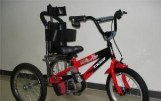 Die beste Wahl für Heimtrainer für die Rehabilitation von Kindern mit Zerebralparese. Fahrräder für Erwachsene mit Zerebralparese.